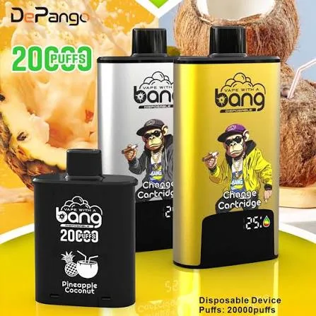 Bang Tek Kullanımlık mı / Pod Sistemi