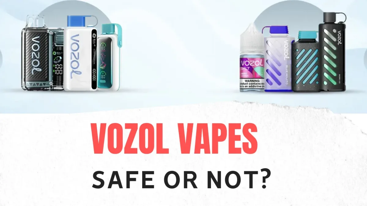 Vozol Güvenlik ve Bakım model görseli
